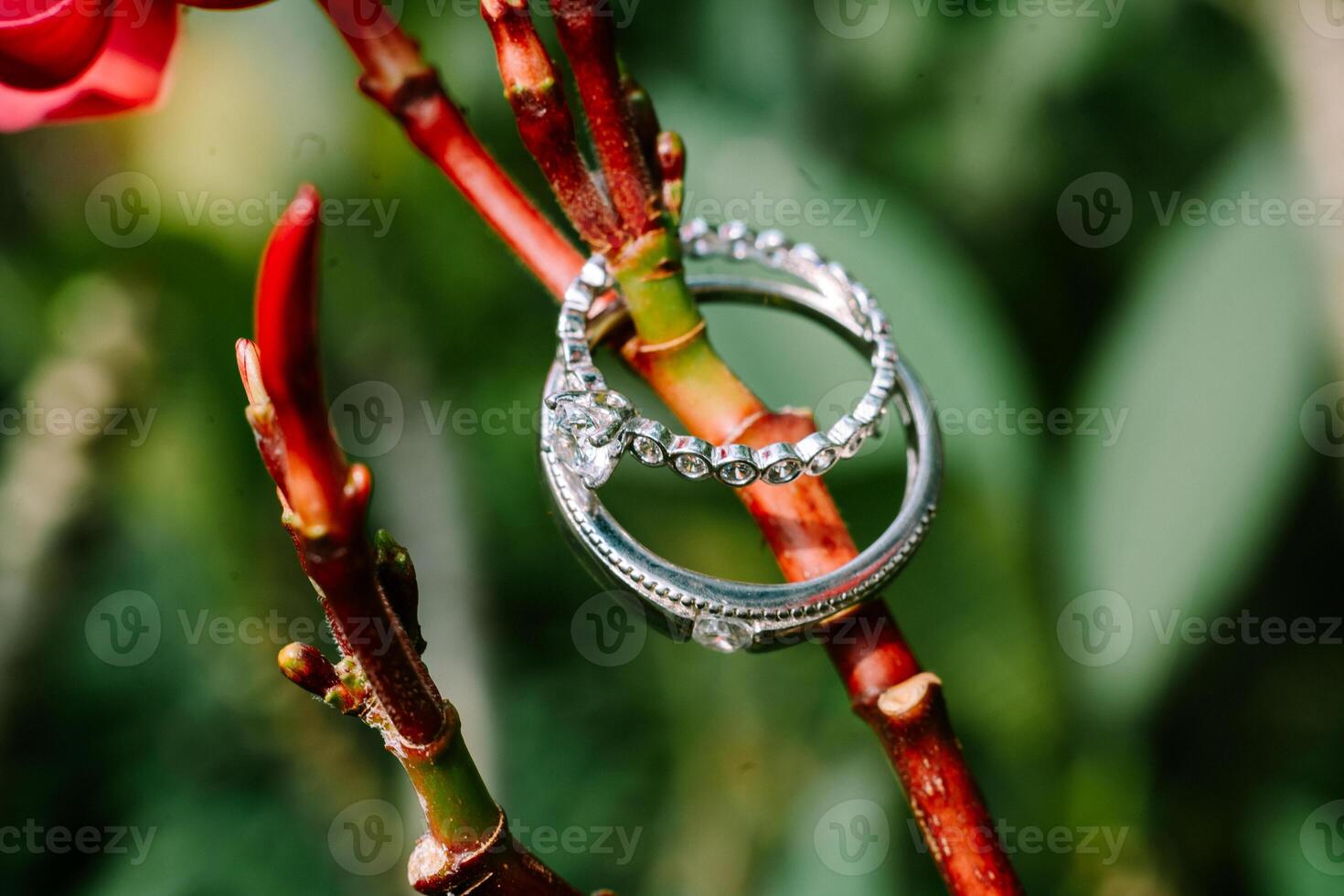 Amongst the vibrant red blossoms, the wedding ring rests, a symbol of enduring passion photo
