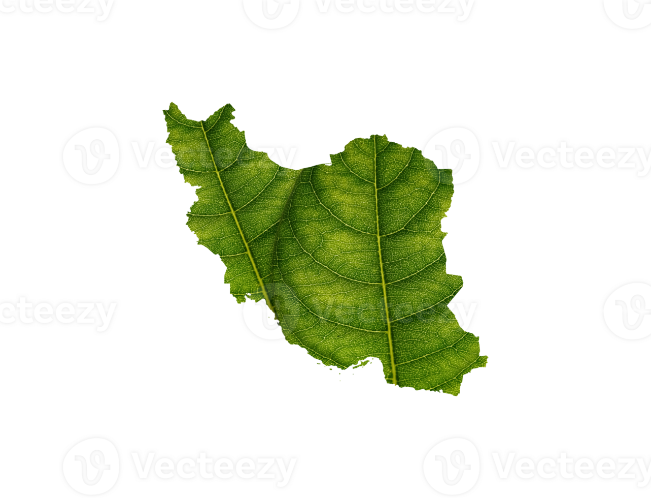 Iran map made of green leaves ecology concept png
