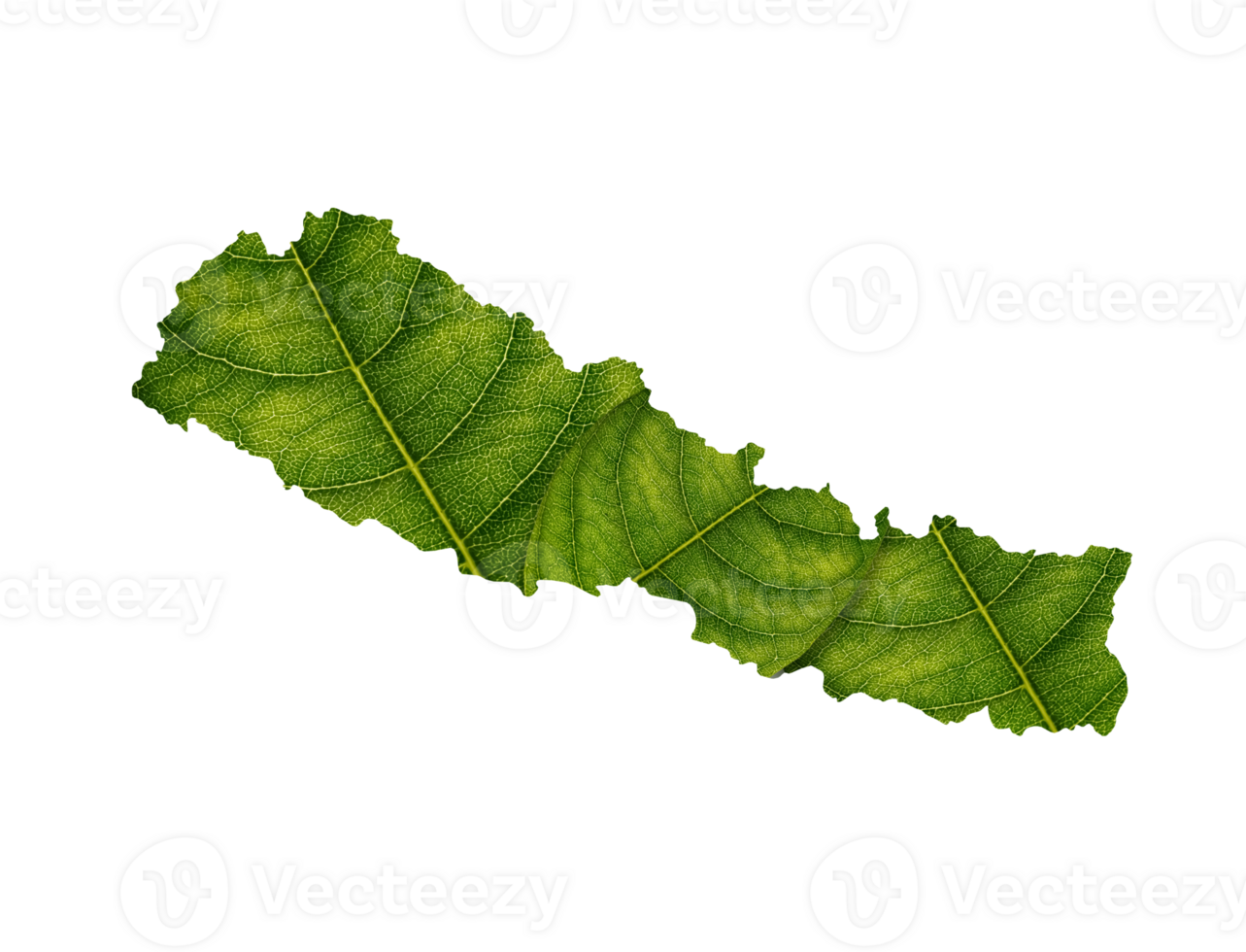 Nepal map made of green leaves ecology concept png