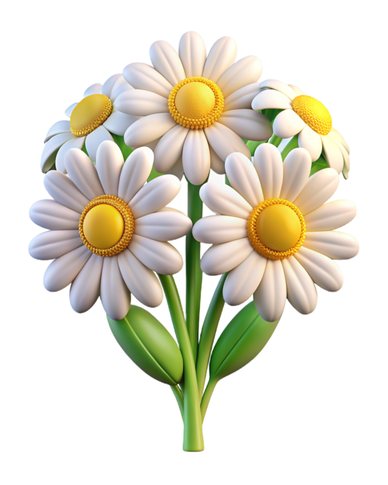 Chamomile Flower 3d Image png