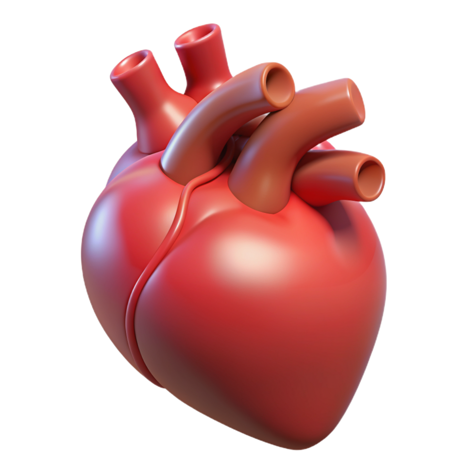 Heart Organ 3d icon png