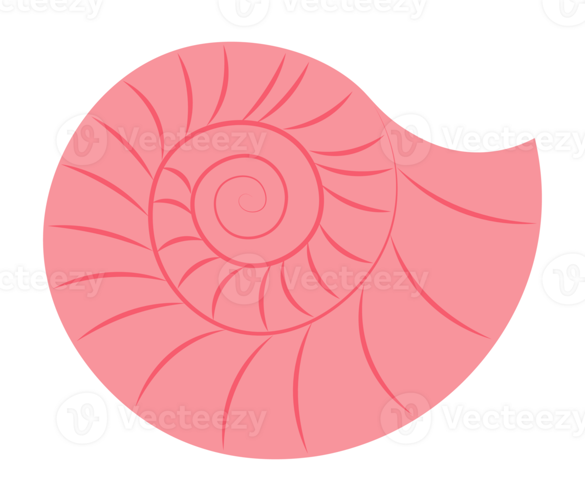 Red Rapana Seashell png