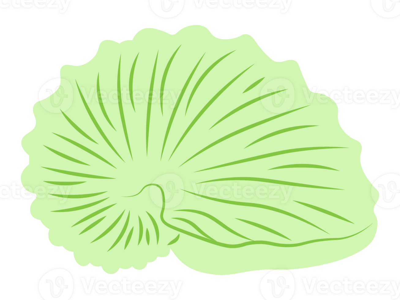 Green Argonauta Seashell png