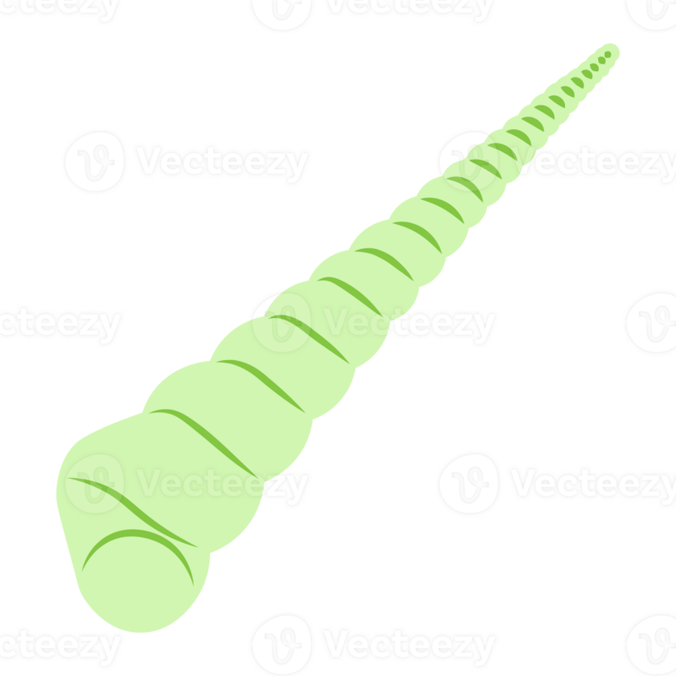 Green Long Spiral Seashell png