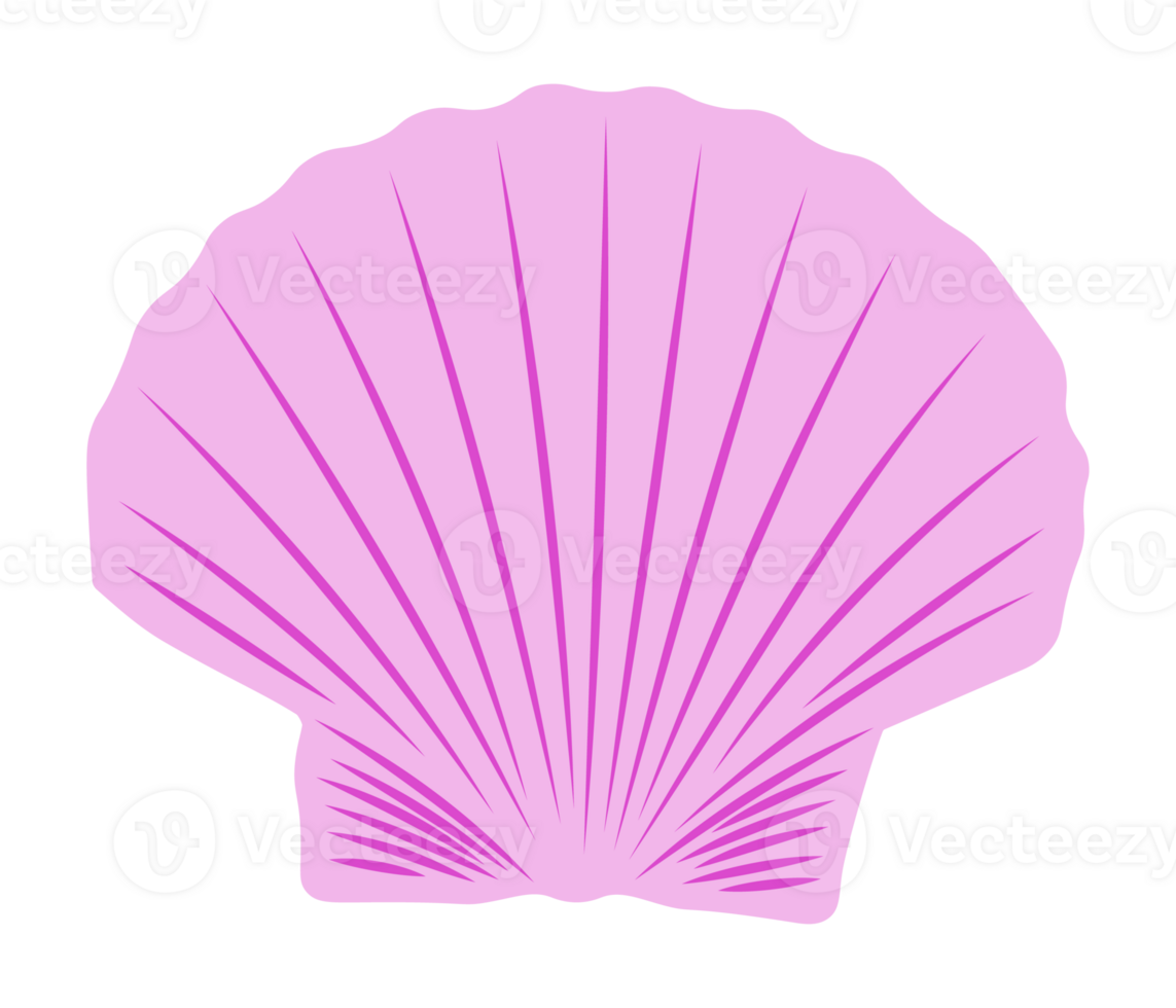 Violet Scallop Seashell png