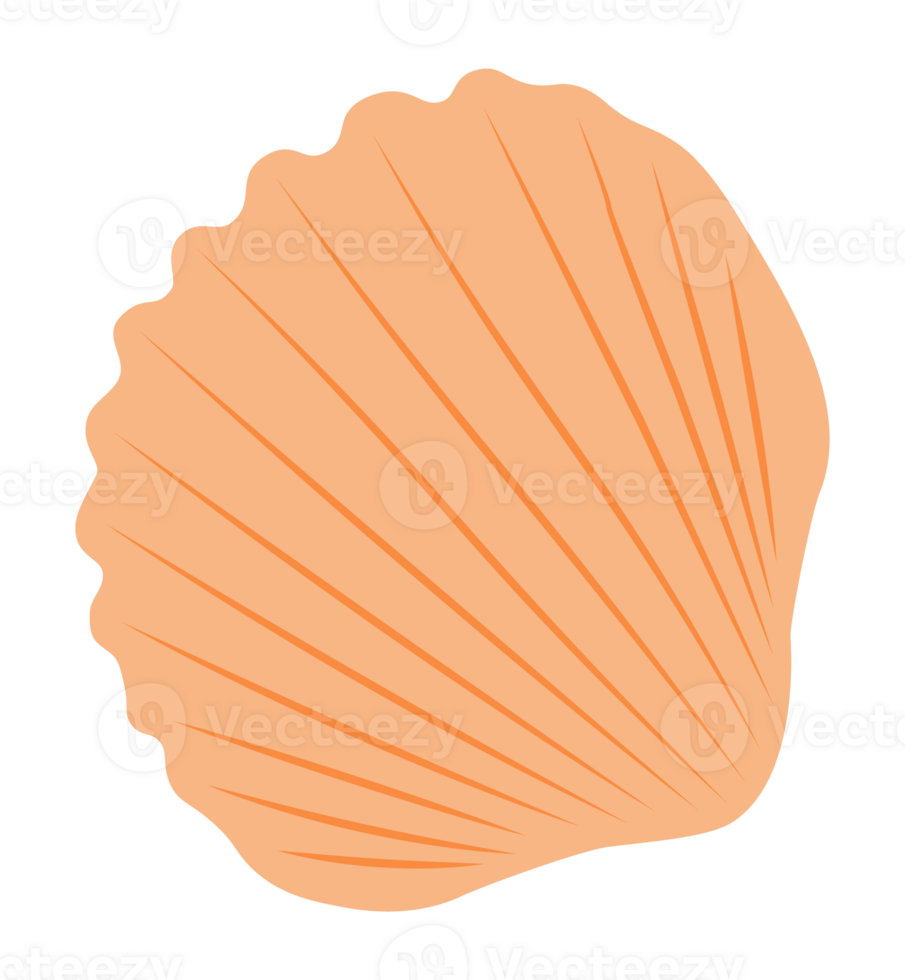 Orange Cerastoderma Edule Seashell png