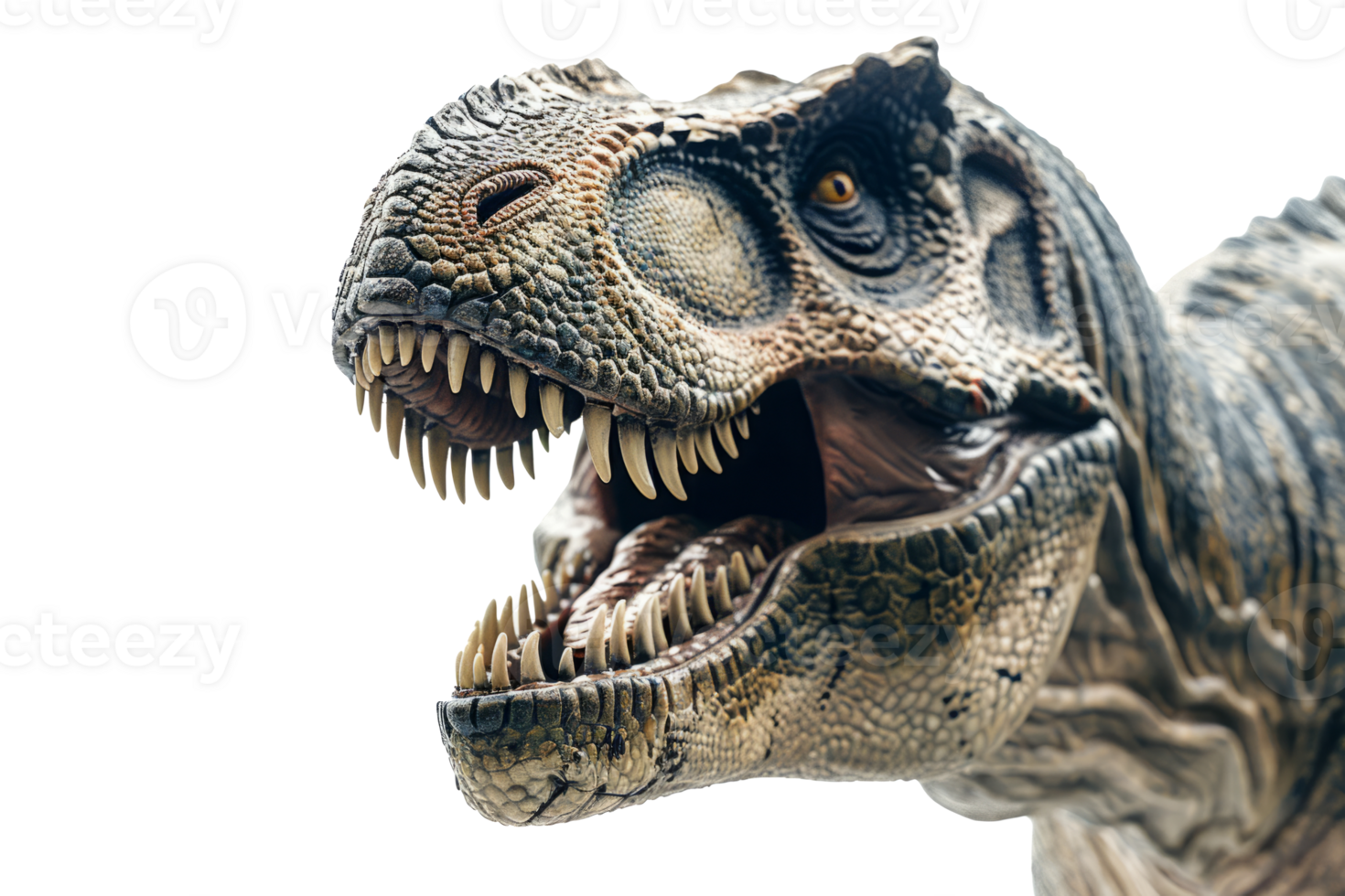 Tyrannosaurus Portrait. Angry dinosaur, Prehistoric Carnivore png
