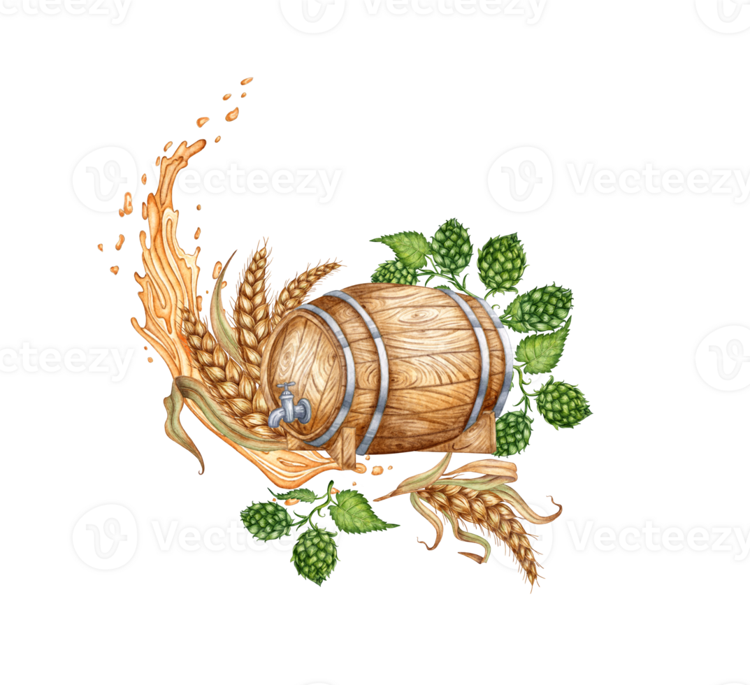 Wooden barrel with green hop leaves, ears of wheat and splashes of beer and other alcoholic drinks, watercolor illustration. Isolated from the background. Suitable for interior design, menus, product png