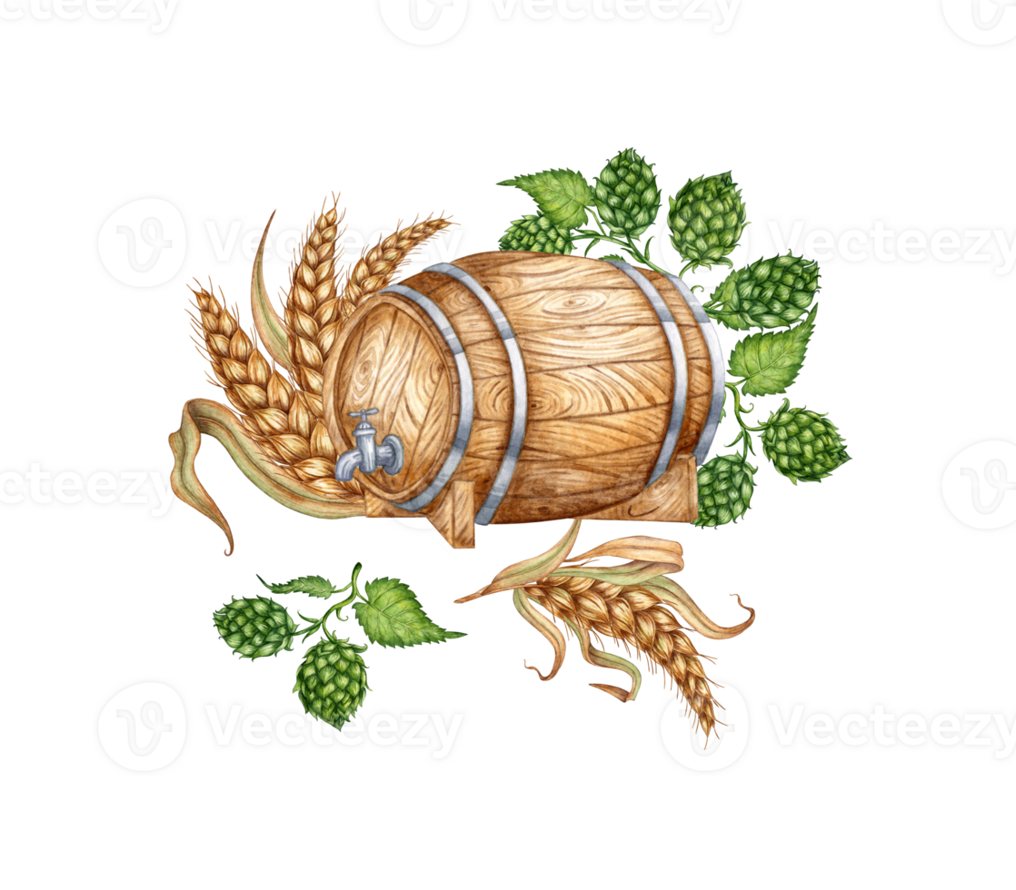 Wooden barrel with hops, ears of wheat for beer and other alcoholic drinks watercolor illustration. Isolated from the background. Suitable for interior design, menus, product packaging. png