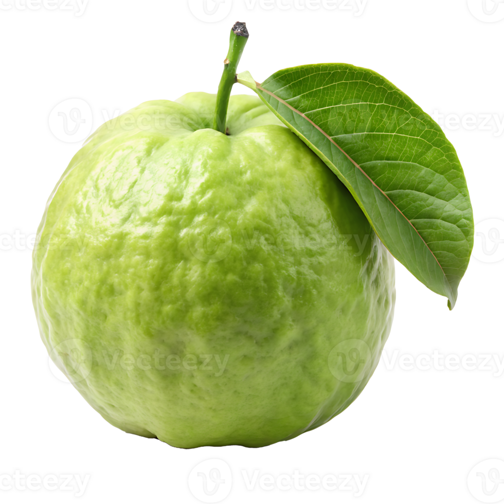 Guava isolated on transparent background png