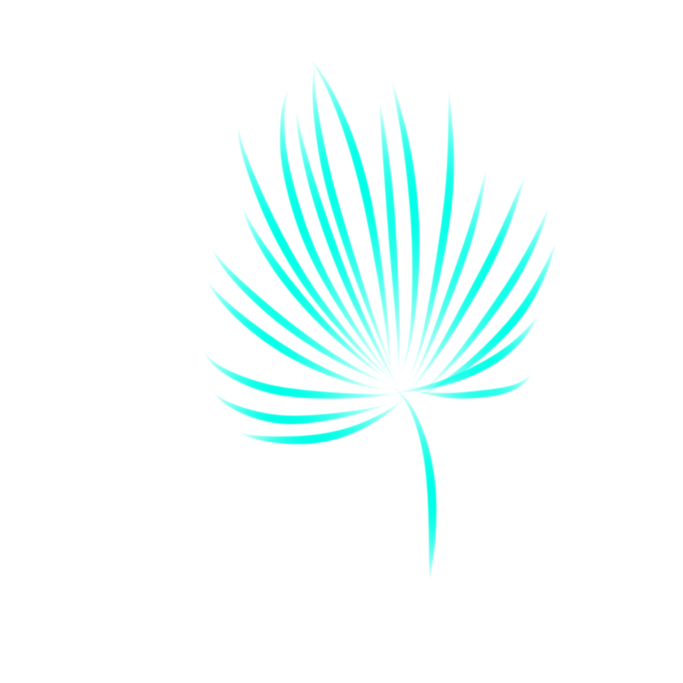 palm tree leaves line art png