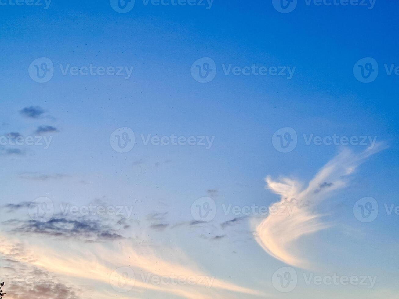 Sky and clouds. Angel white and blue color. Indivisible Day- text, world holiday photo