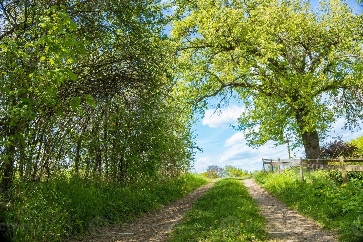 Walking trail in a small village as marvelous hill view with blue sky, Czech. photo