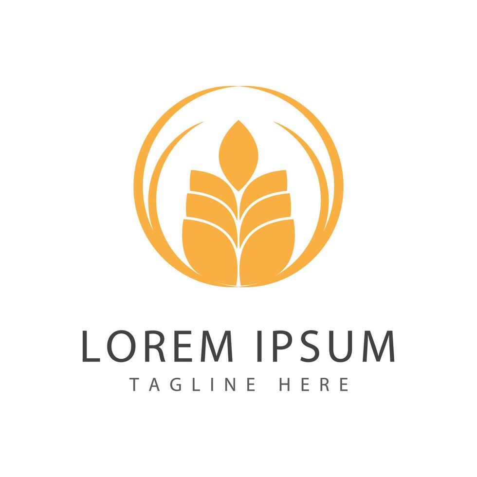 Agriculture wheat logo template and symbol vector