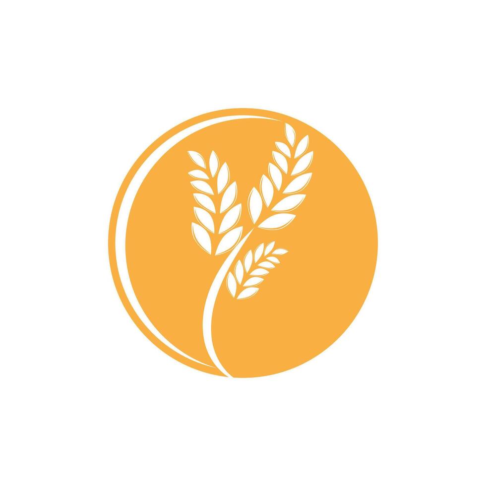 Agriculture wheat logo template and symbol vector