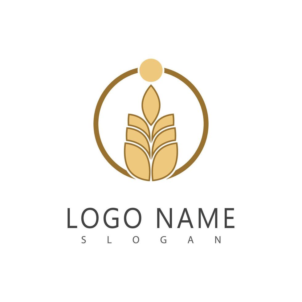 Agriculture wheat logo template and symbol vector