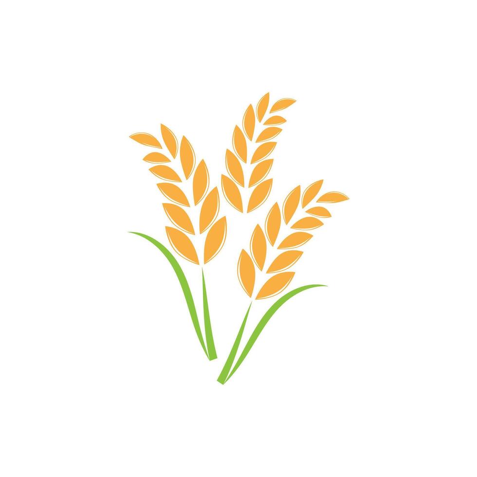 Agriculture wheat logo template and symbol vector