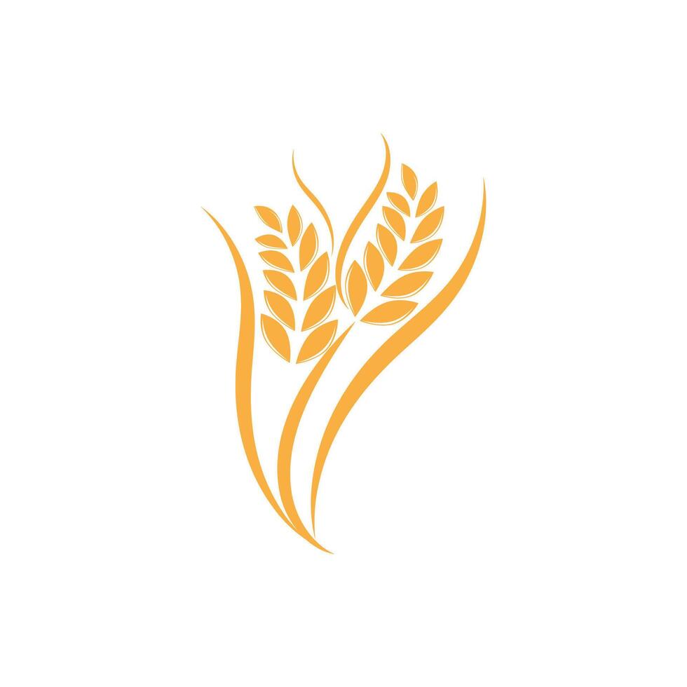 Agriculture wheat logo template and symbol vector