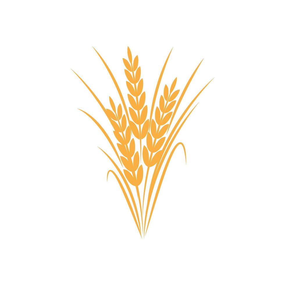Agriculture wheat logo template and symbol vector