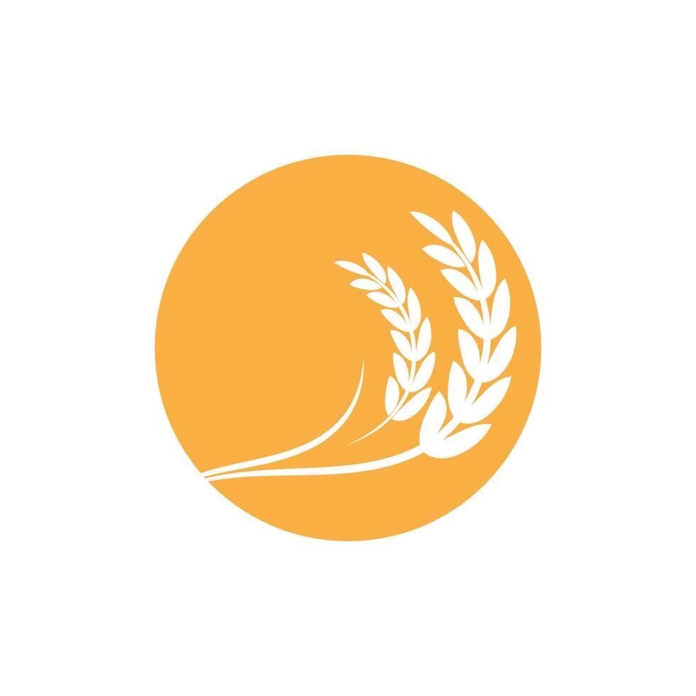 Agriculture wheat logo template and symbol vector