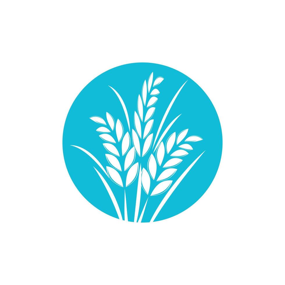 Agriculture wheat logo template and symbol vector