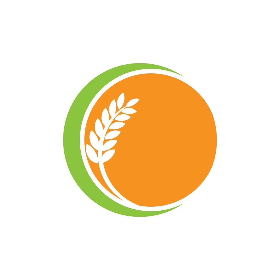 Agriculture wheat logo template and symbol vector