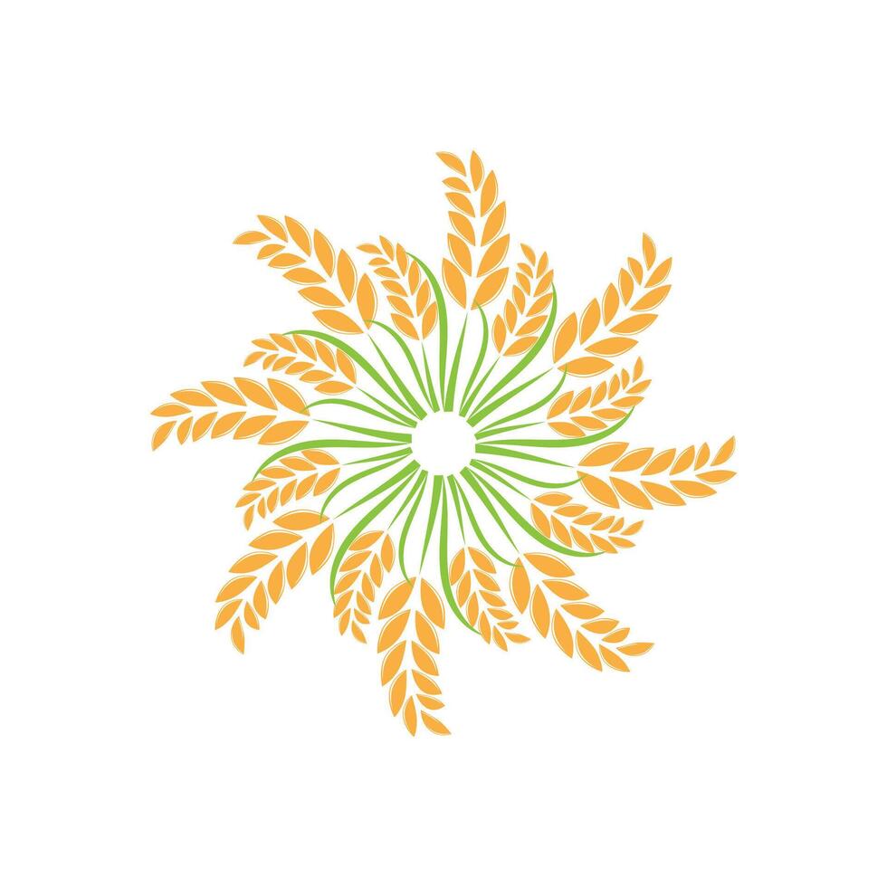Agriculture wheat logo template and symbol vector