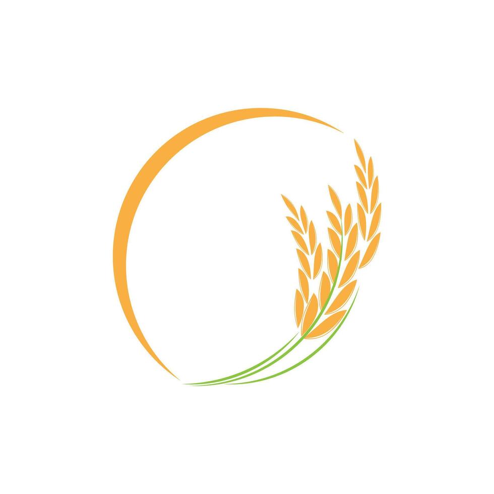 Agriculture wheat logo template and symbol vector