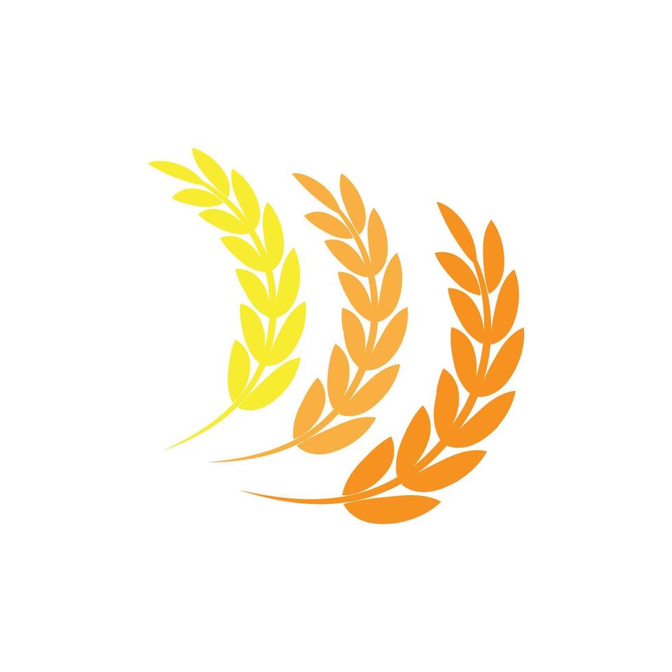 Agriculture wheat logo template and symbol vector