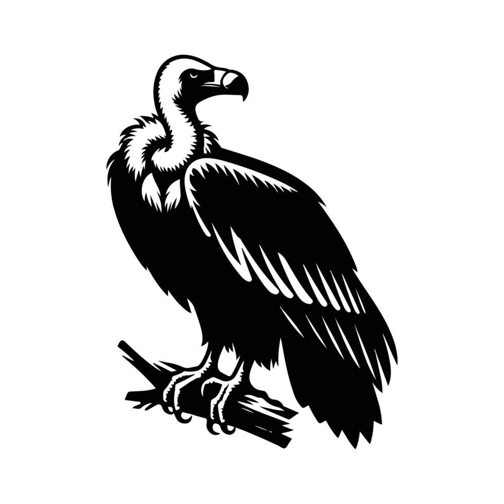 Vulture Animal black silhouette with white color background vector