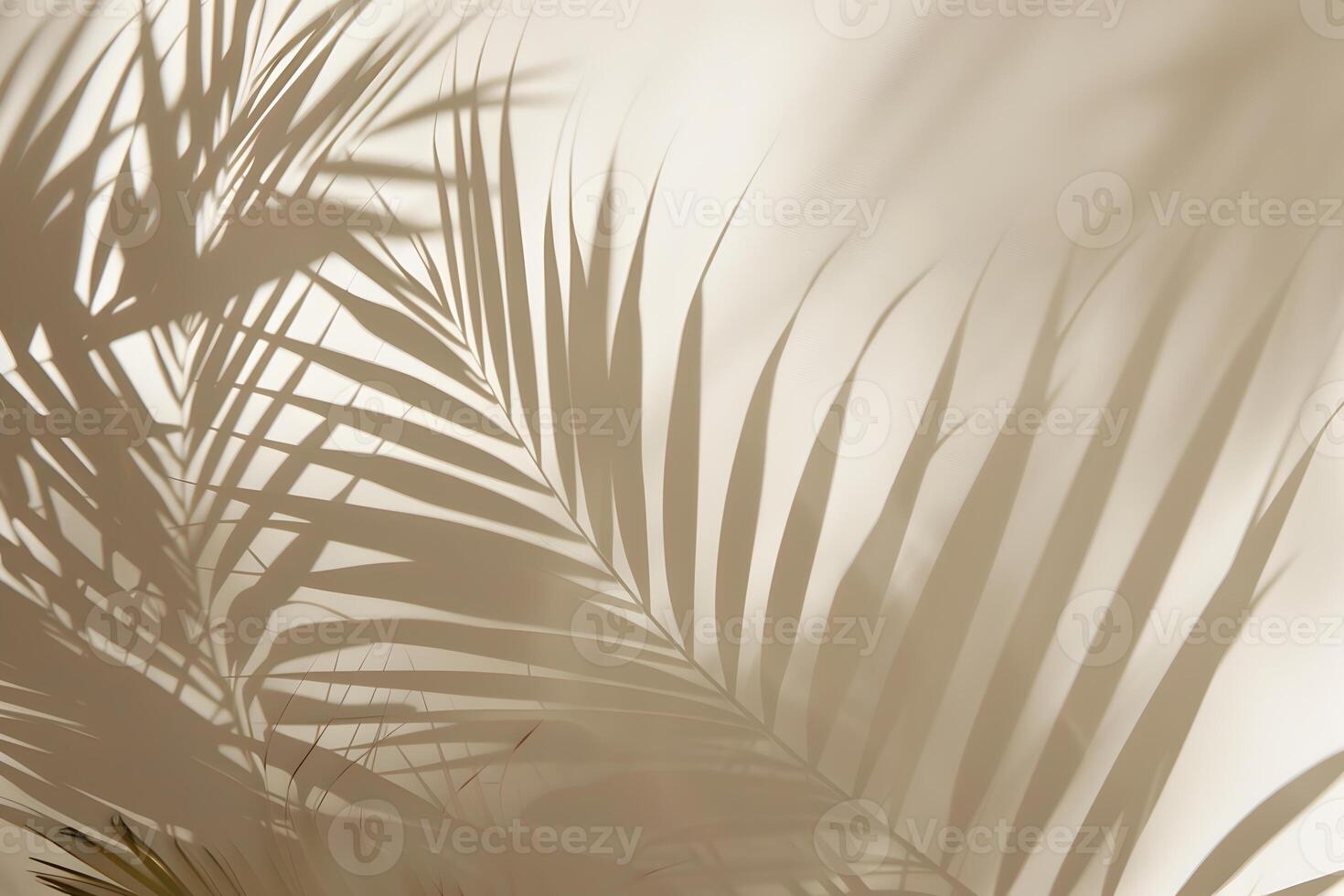 Tropical palm leaves foliage with sunlight shadows on light cream wall. Minimalistic abstract beautiful blurred summer or spring background mockup for product presentation. photo