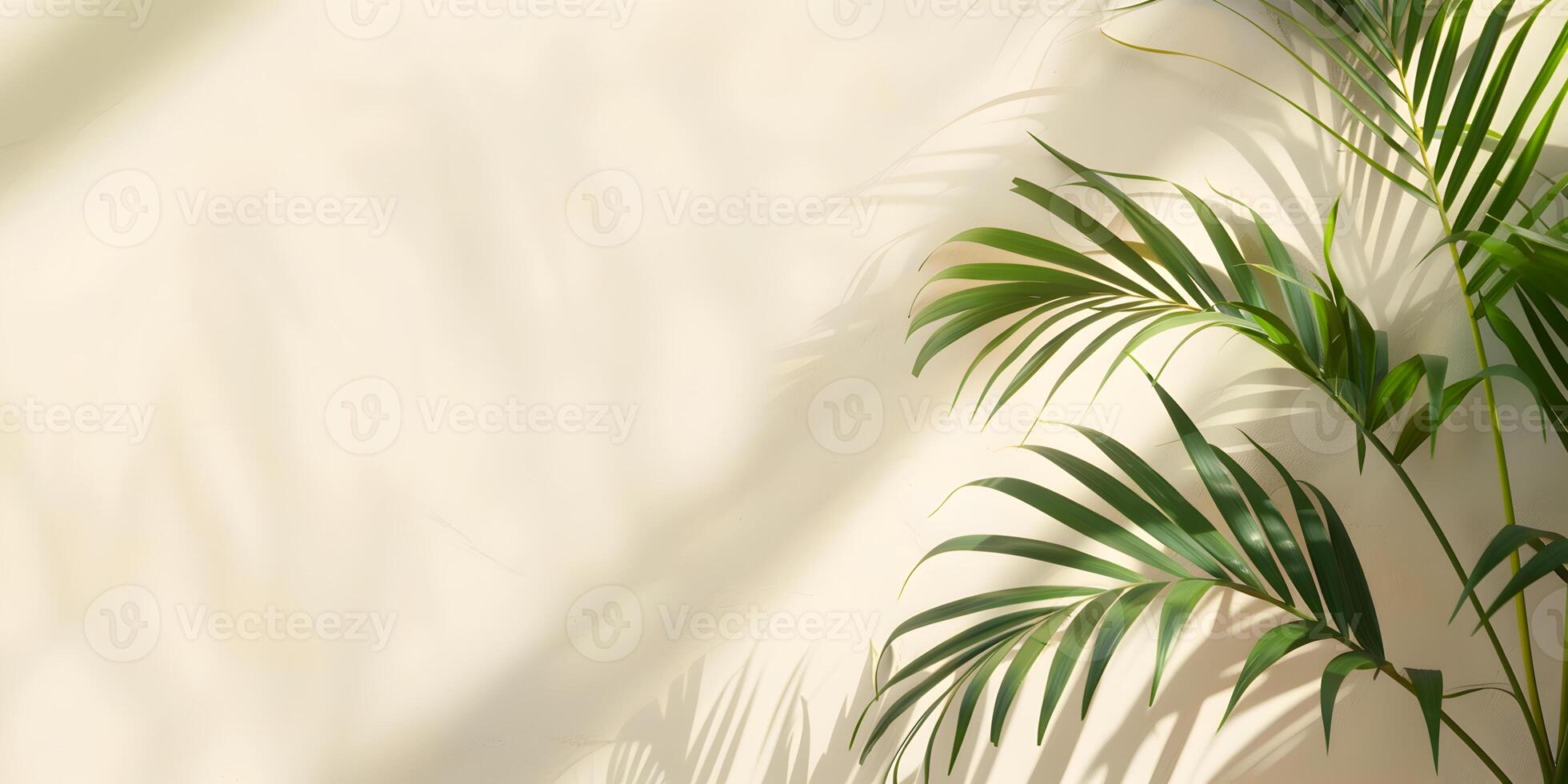 Tropical palm leaves foliage with sunlight shadows on light cream wall. Minimalistic abstract beautiful blurred summer or spring background mockup for product presentation. photo
