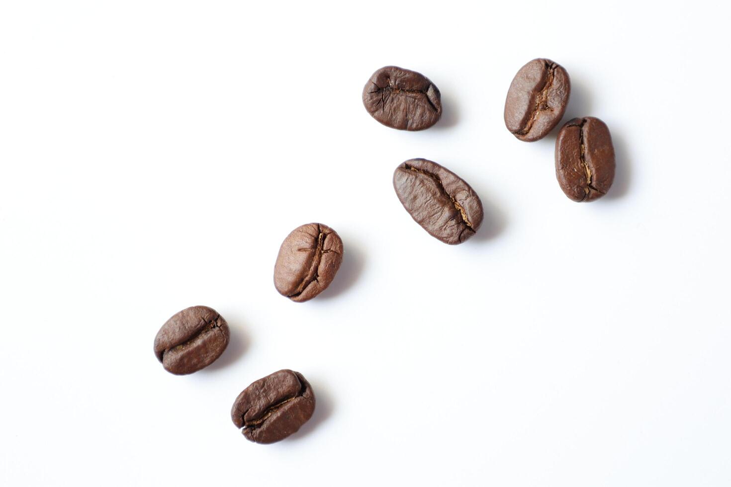 Bean isolated on white, brown roasted coffee beans on white photo