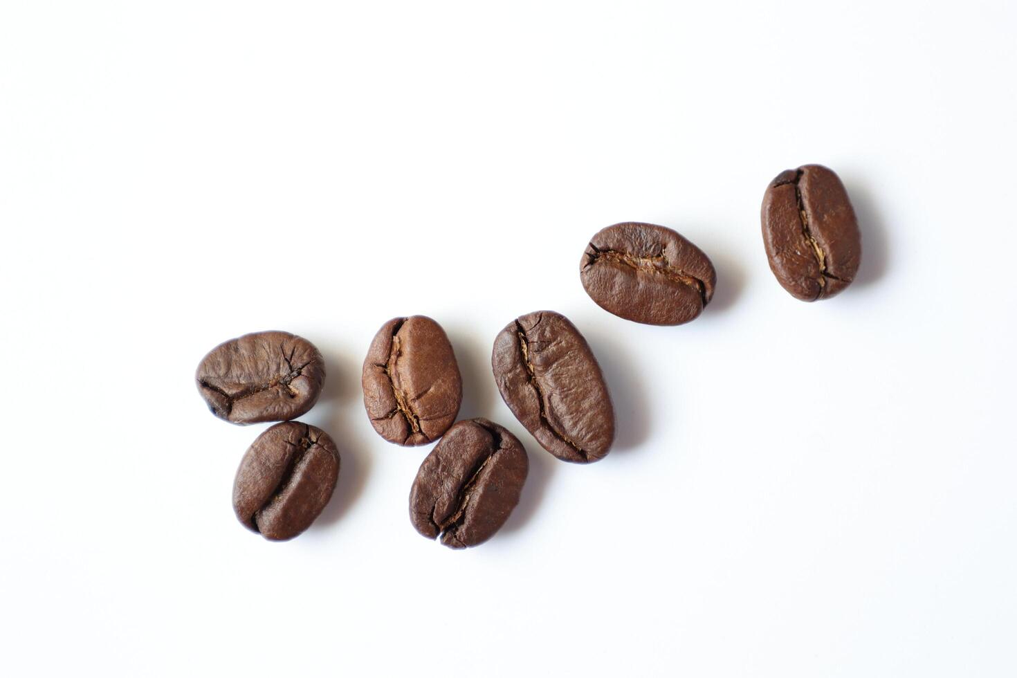 Bean isolated on white, brown roasted coffee beans on white photo