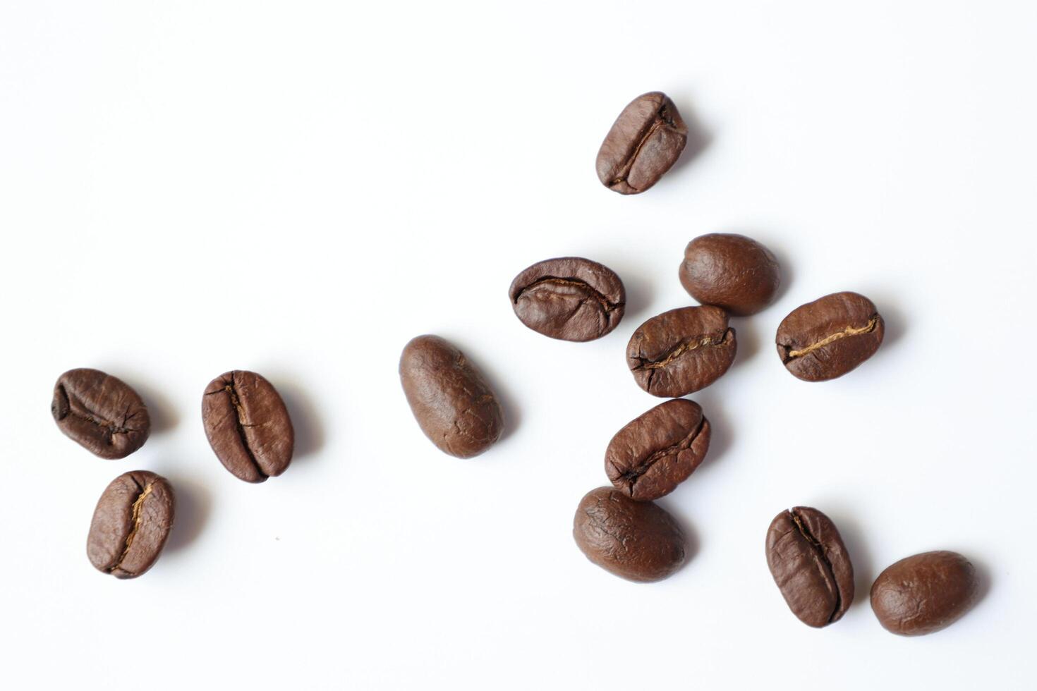 Bean isolated on white, brown roasted coffee beans on white photo