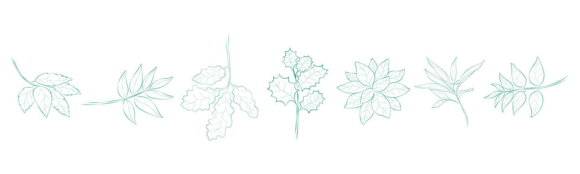 Leaf outline set that can be used in a variety of ways such as decorating cards, digital printing, fabric patterns, scrapbooking, paper patterns, sticker and more. vector