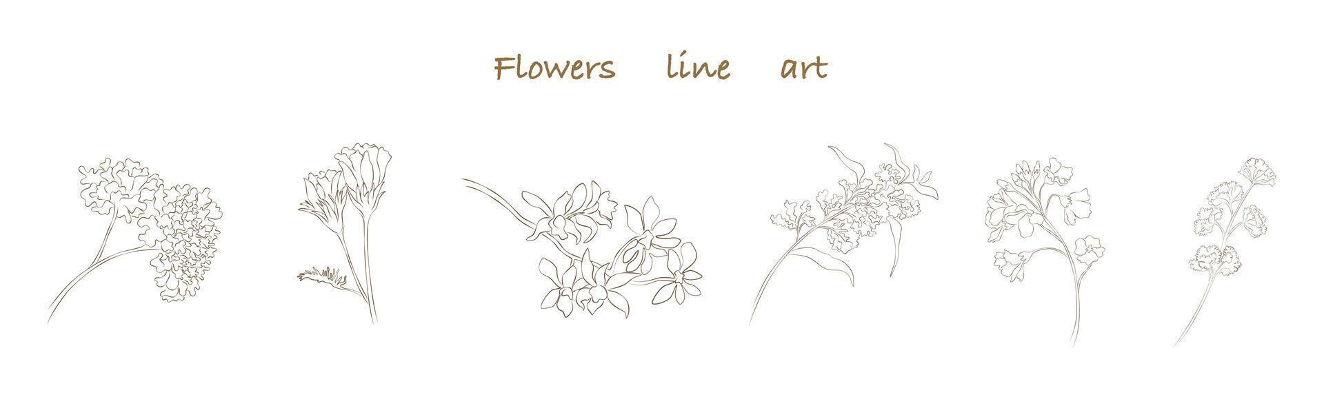 Flowers line art set that can be used in a variety of ways such as decorating cards, digital printing, fabric patterns, scrapbooking, paper patterns, element for design and more. vector