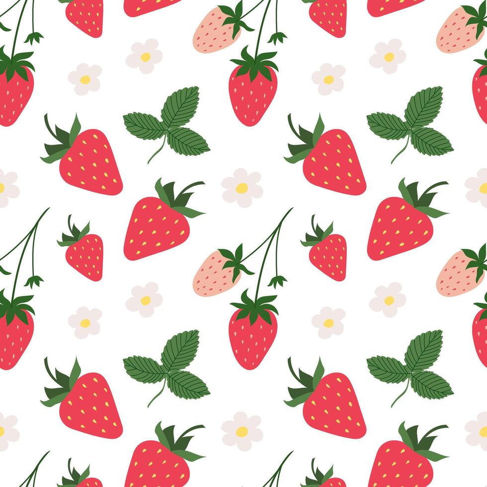 Seamless pattern of hand drawn strawberries and flowers on transparent background vector