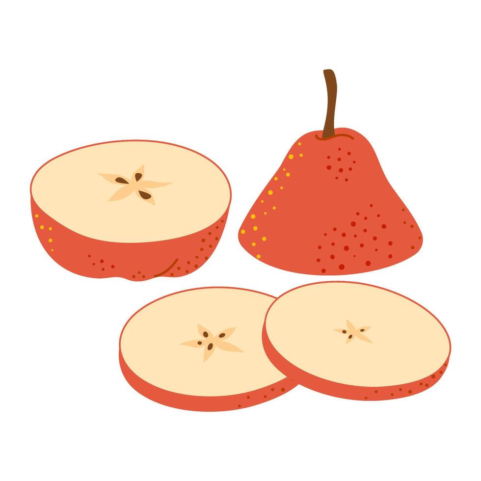 Fresh ripe chopped Pear. Slice of fresh red Pear. Healthy vegetarian snack, cut fruit for design or infographic. Hand drawn Trendy flat style isolated on transparent background illustration vector