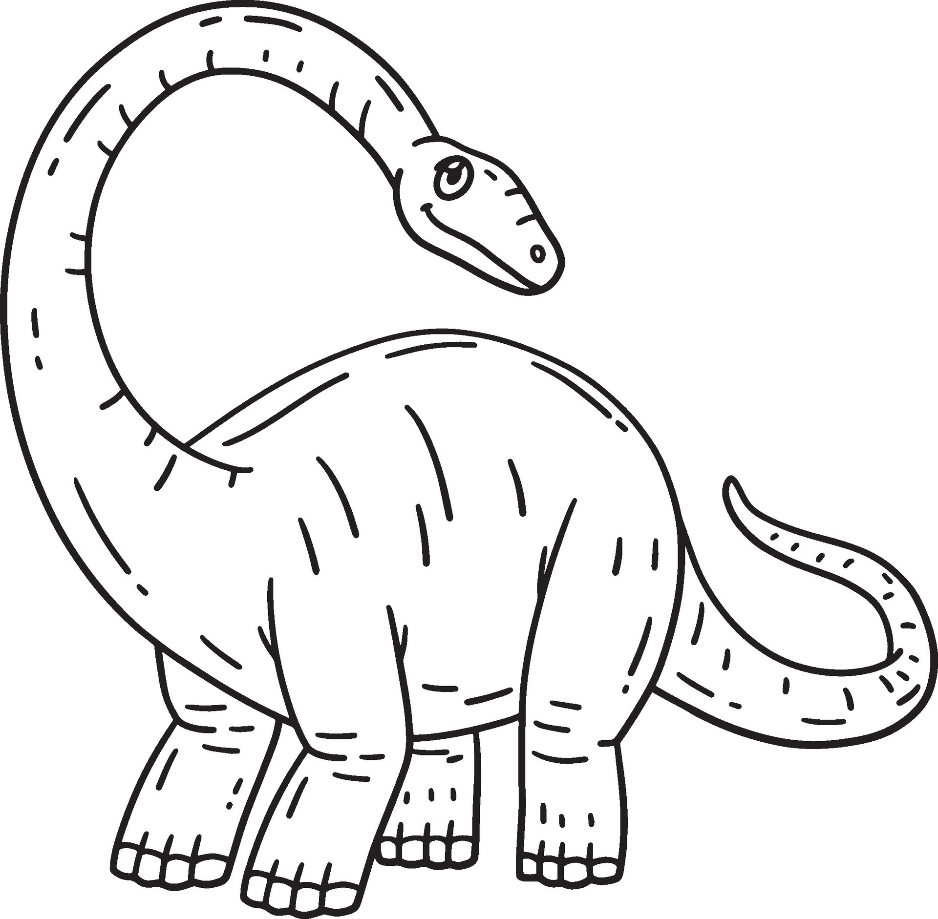 Brontosaurus Dinosaur Isolated Coloring Page 46361463 Vector Art at