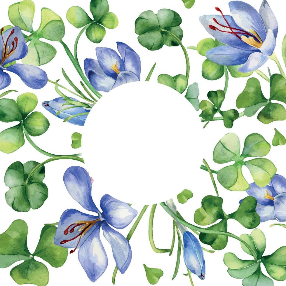 Circle frame with crocus and clover watercolor illustration isolated on white background. Painted spring flowers frame. Hand drawn Celtic symbol. Design element for St. Patrick day, Easter, package. vector