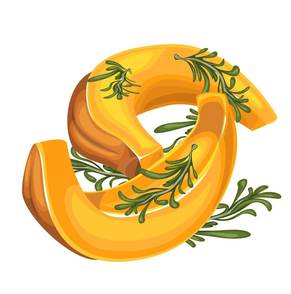 image of a pumpkin cut into slices, moons, ready to prepare various dishes for traditional autumn holidays. EPS 10 vector