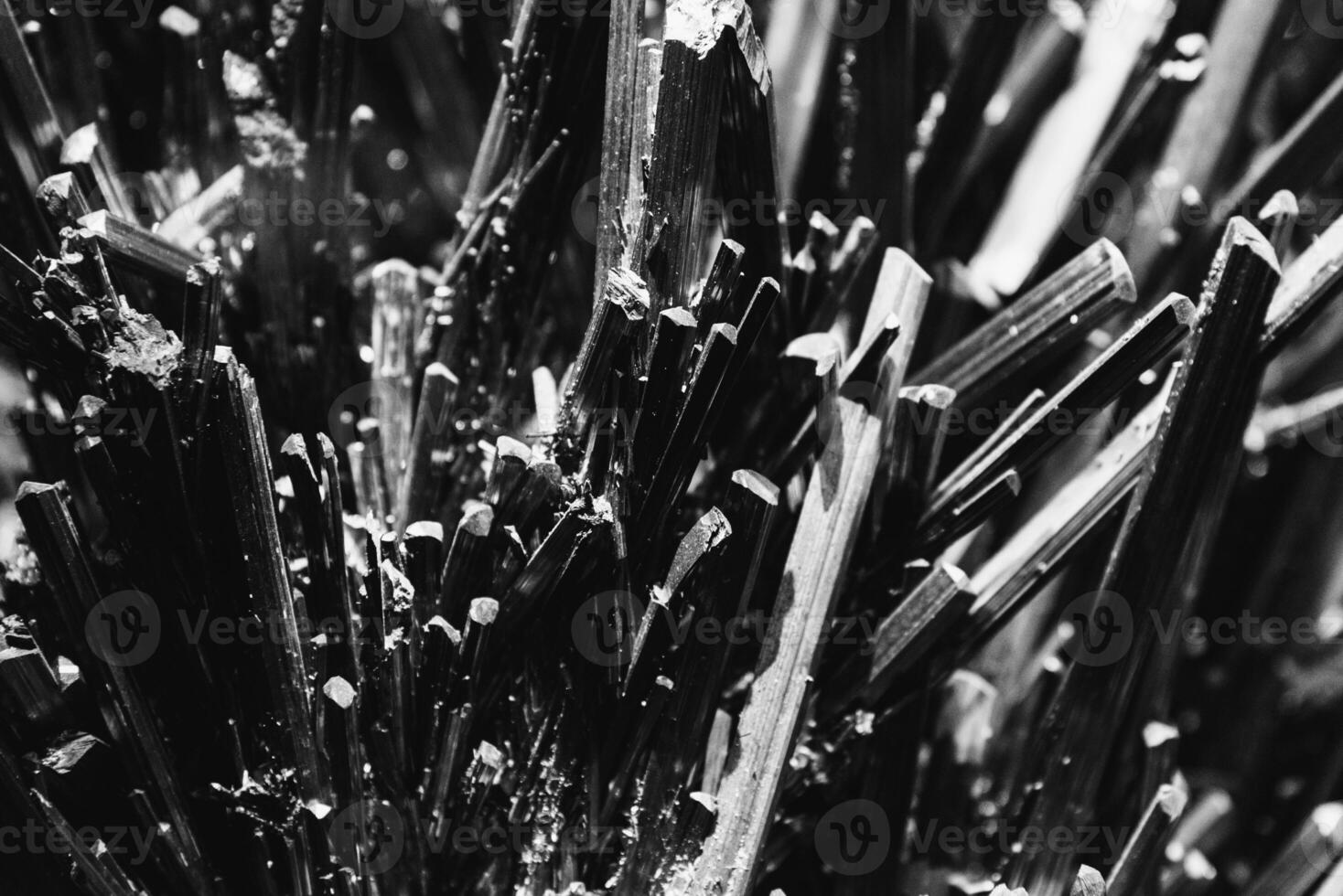 Macro shot of multiple graphite rods photo