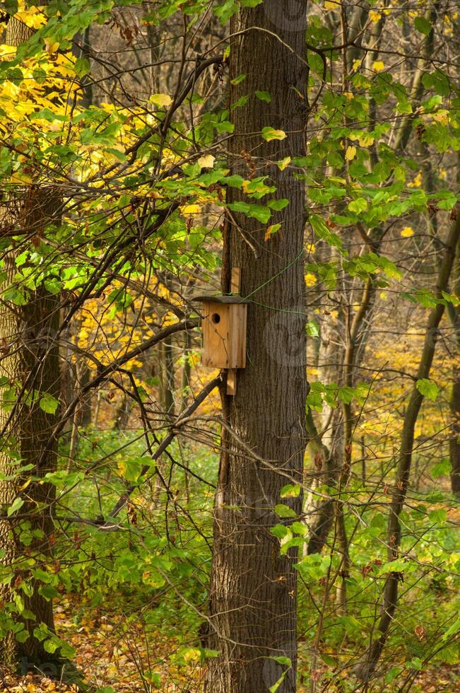 Wooden bird house on a tree photo