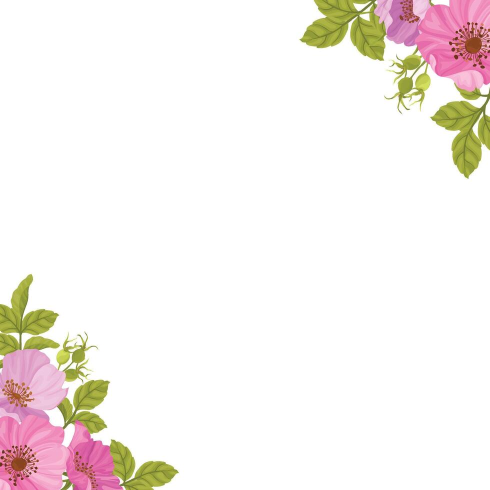 floral borders with beautiful wild roses, wedding frames, greetings, print designs and banners vector