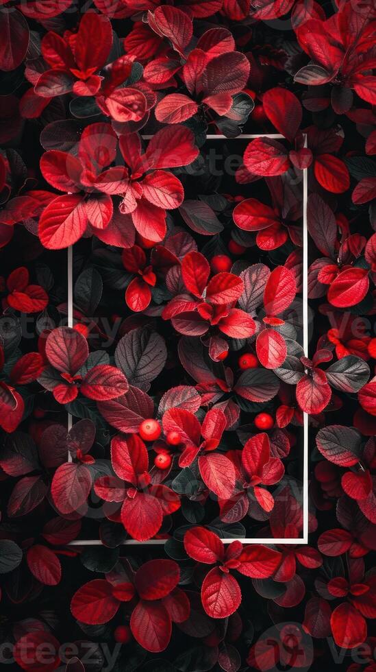 a large, vibrant red plant with red leaves , creating a visually striking background photo