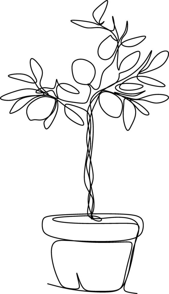One line art. continuous line art. a flower isolated on white vector
