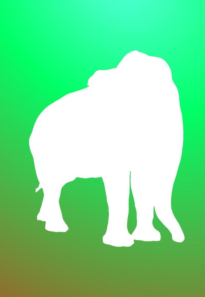 The illustrations and clipart. A black-and-white silhouette of the animal vector