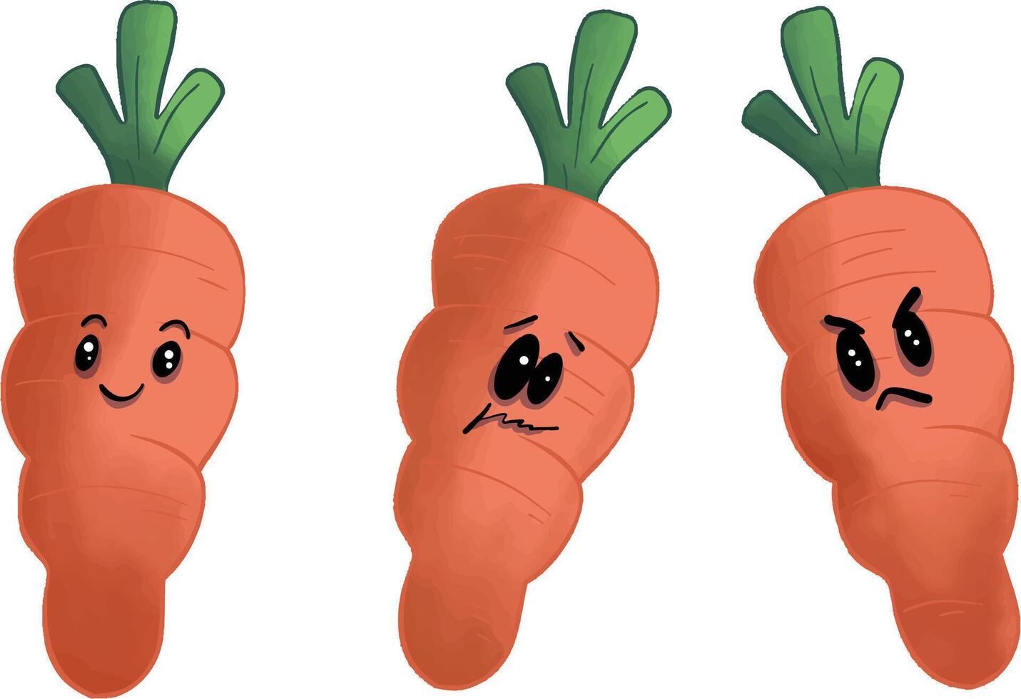 The three carrots vector