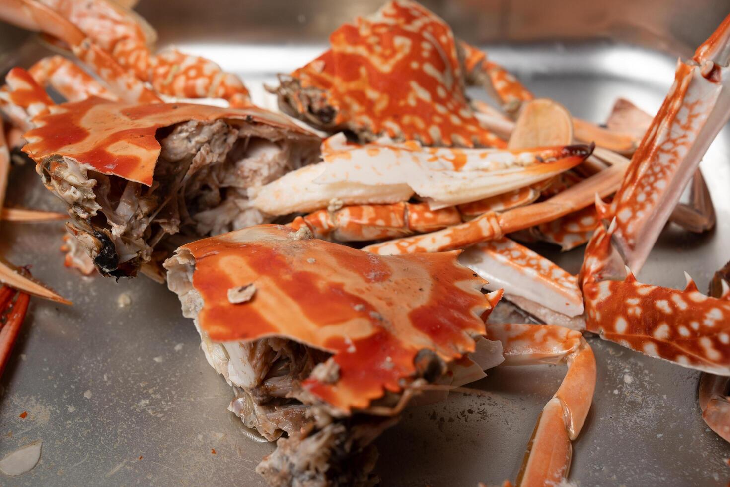 a close up of a bunch of crabs photo
